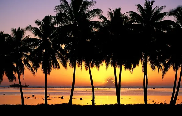 Palm trees, Sunset, Island, Aitutaki