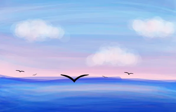 Picture sea, clouds, seagulls