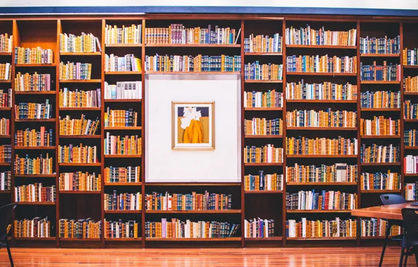 Books, picture, library, a lot, shelves