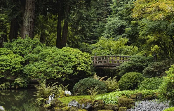 Trees, pond, Park, stones, USA, the bushes, Oregon, Portland