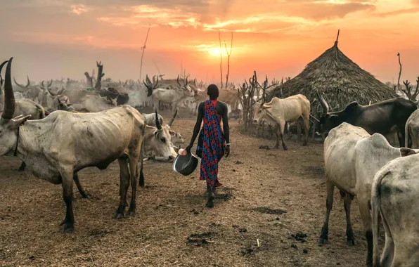 Picture Terekeka, South Sudan, Against the Sun
