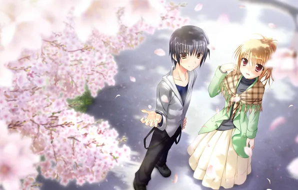 Look, girl, smile, Sakura, guy, art, Dp Minase, Yaneura no Kanojo