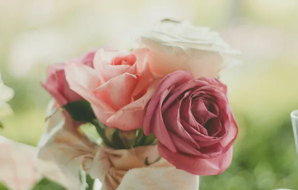 Flowers, roses, petals