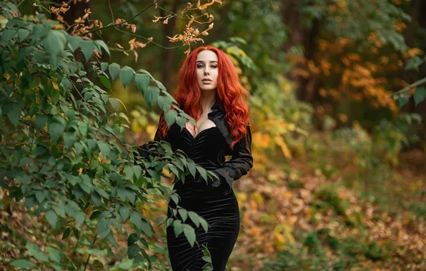 Picture model, redhead, pose, A Diakov George