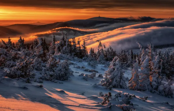 Picture winter, snow, trees, sunset, mountains, fog, Czech Republic, the snow
