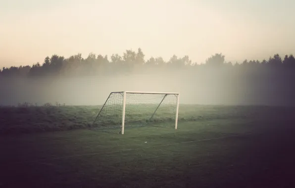 Field, forest, fog, football, gate