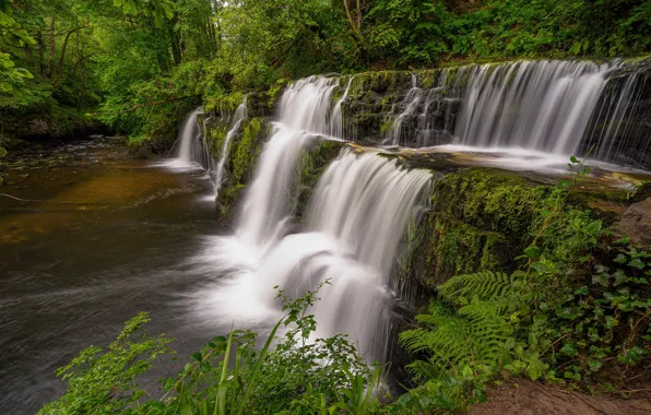 Forest, river, England, waterfall, cascade, England, Wales, Wales