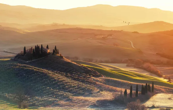 House, grass, landscape, sunset, tree, italy