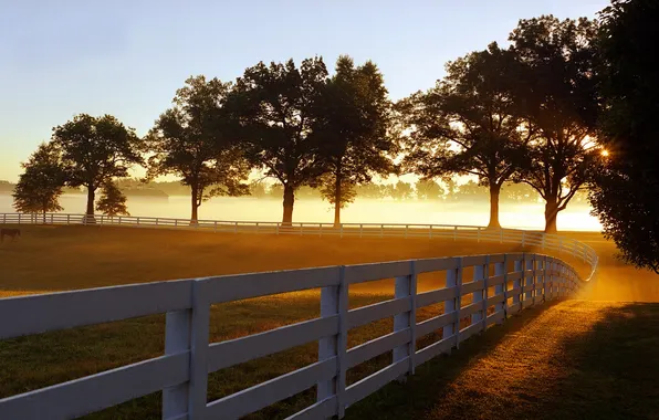 Fog, The fence, Morning, Rays, Park, Kentucky, Morning Mist, Morning