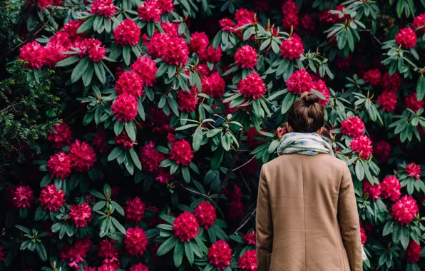 Girl, flowers, back, coat