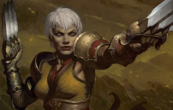 Picture woman, knife, Diablo 3, nuns