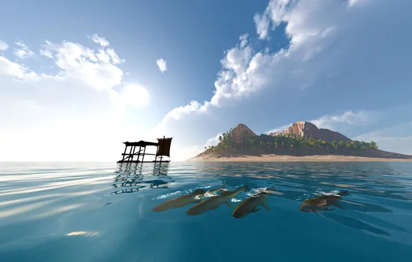 Sea, the sky, water, clouds, fish, palm trees, island, sail