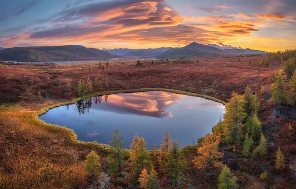 Picture landscape, nature, scenery, Andrey Grachev
