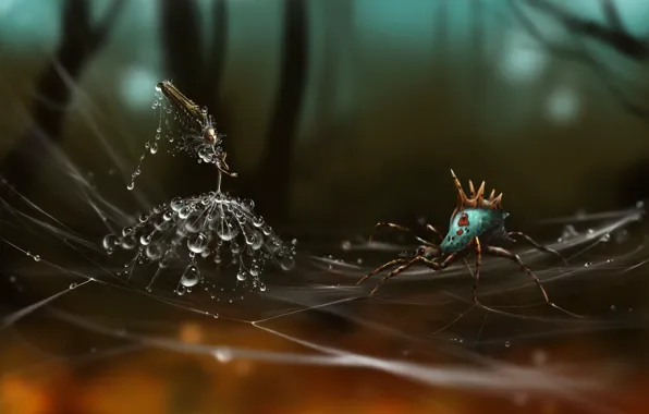 Drops, dandelion, web, spider, art