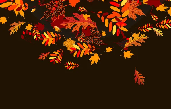 Picture autumn, leaves, collage, vector