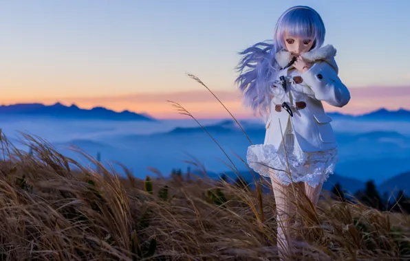 Nature, toy, doll, blonde, walk