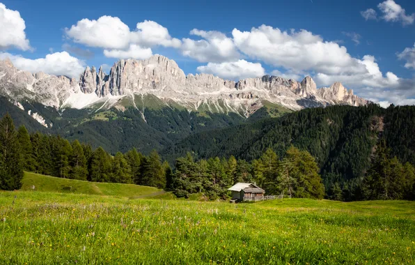 Greens, field, forest, clouds, mountains, house, blue, meadow
