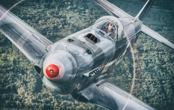 Picture Screw, Forest, The Second World War, The Yak-3, As-3M, THE RED ARMY AIR FORCE, HESJA …