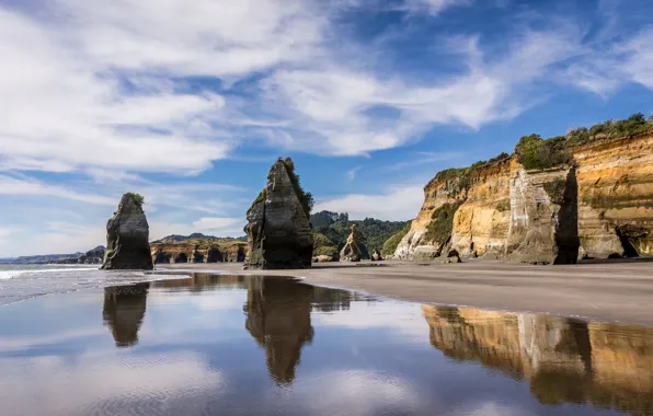 Picture New Zealand, Taranaki, Biography