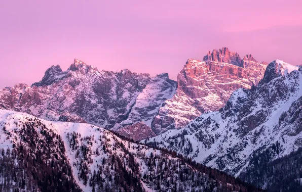 Winter, forest, the sky, snow, trees, mountains, nature