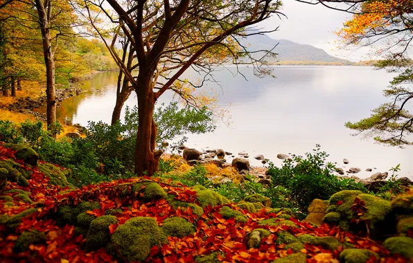 Picture autumn, leaves, trees, lake, stones, mountain.