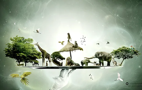 Tree, Monkey, Birds, Hand, Leo, Wolf, Giraffe, Elephant