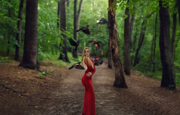 Girl, trees, birds, figure, dress, in red, Spring