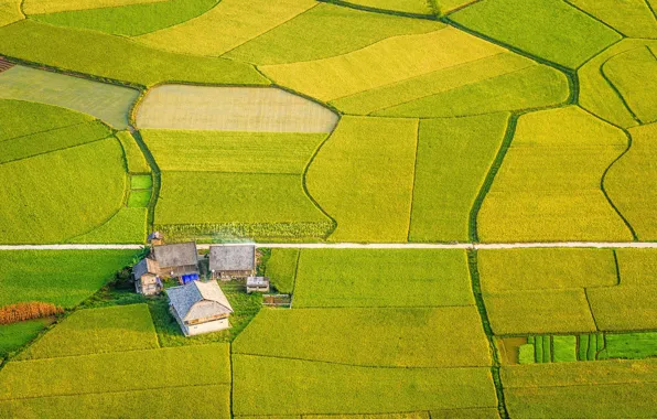 Picture field, the view from the top, Aerial view of Bắc Sơn valley, Lang Son, farm, …