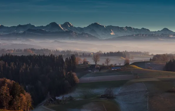 Autumn, forest, the sky, snow, trees, mountains, fog, tops