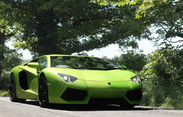 The sky, trees, green, green, lamborghini, front view, trees, headlights