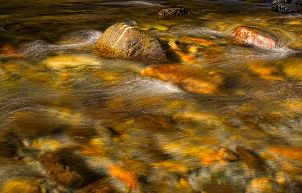 Picture river, stream, stones, stream