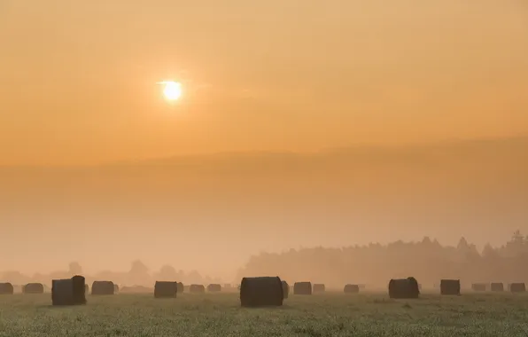Field, landscape, sunset, fog, hay