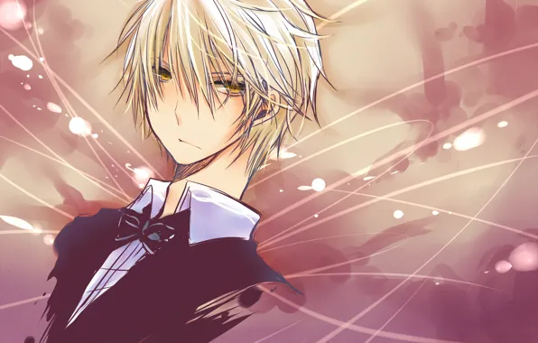 Background, portrait, guy, Durarara, Heiwajima Shizuo, Durarara, Shizuo Heiwajima