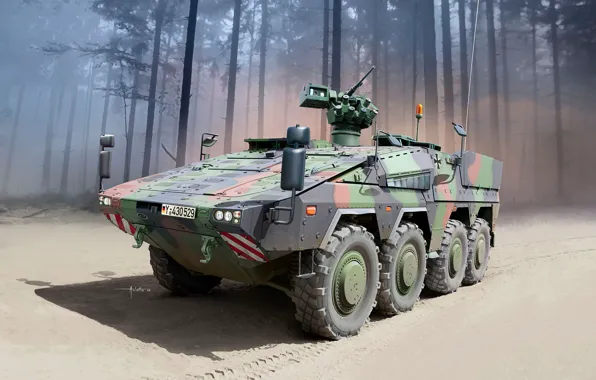 Germany, Netherlands, The Bundeswehr, Armoured Transport Vehicle, FLW 200, Auletta, crank, multi-purpose armored personnel carrier