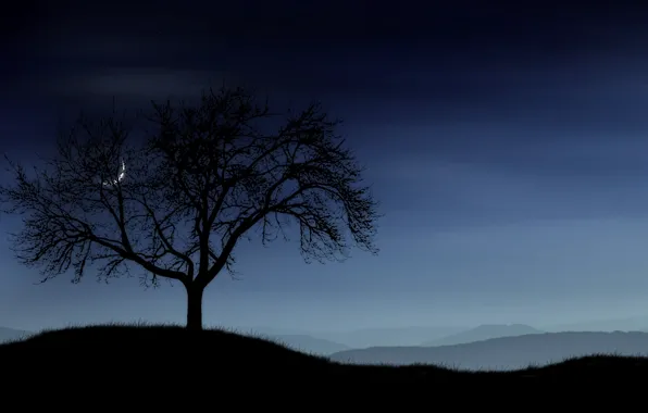 The sky, grass, tree, The moon, Hills