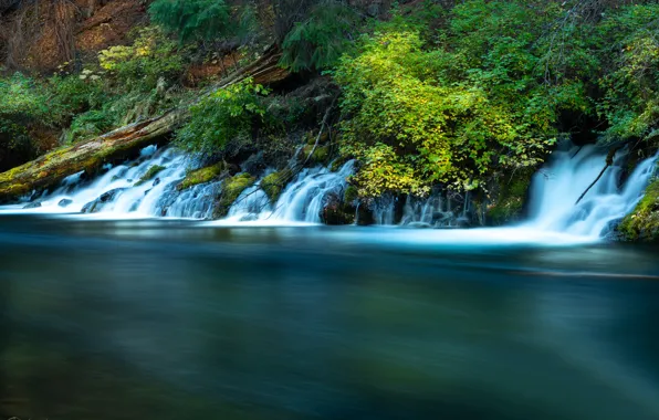 River, vegetation, Oregon, waterfalls, cascade, Oregon, The Metolius River, Metolius River