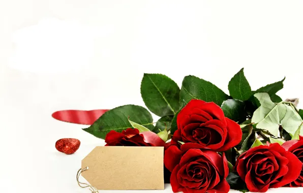 Romance, roses, red, Roses, Valentines Day