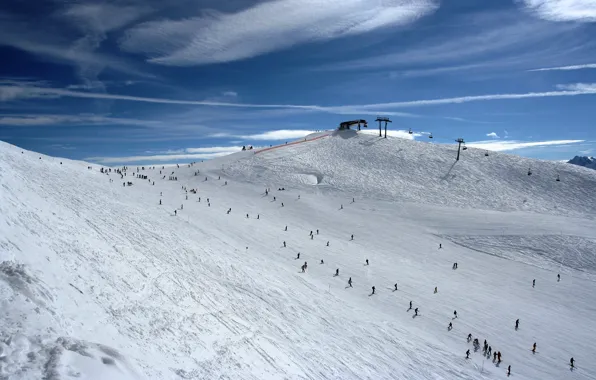Picture snow, slope, skiers