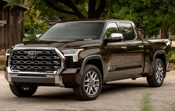 SUV, Toyota, chrome, Tundra, CrewMax, 2022, 1794 Edition