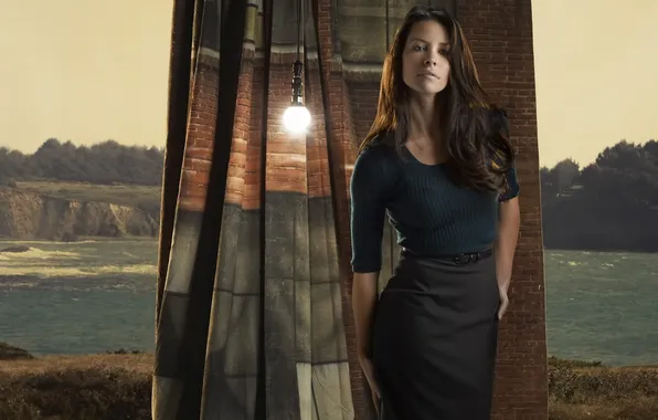 Brunette, Lost, Evangeline Lilly