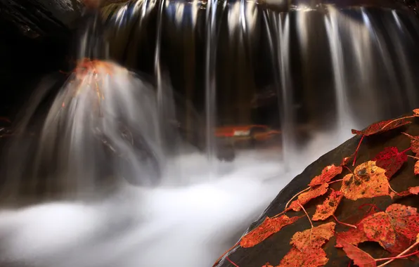 Picture autumn, leaves, water, stone, waterfall, red