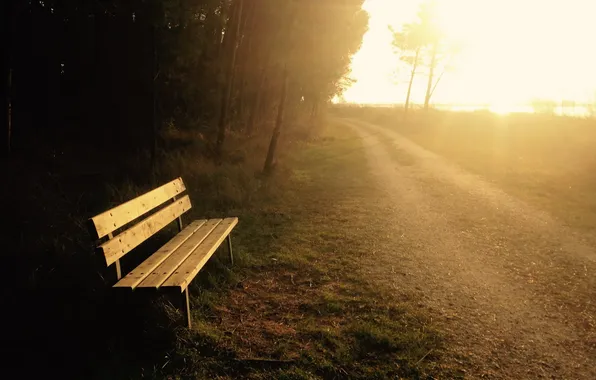Picture fog, morning, bench