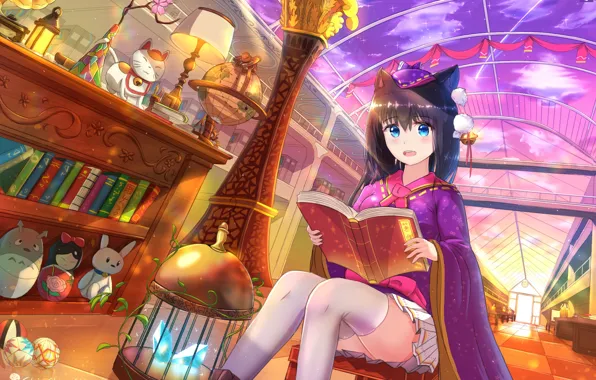 Picture toys, books, cell, girl, crystals, wardrobe, library, blue eyes