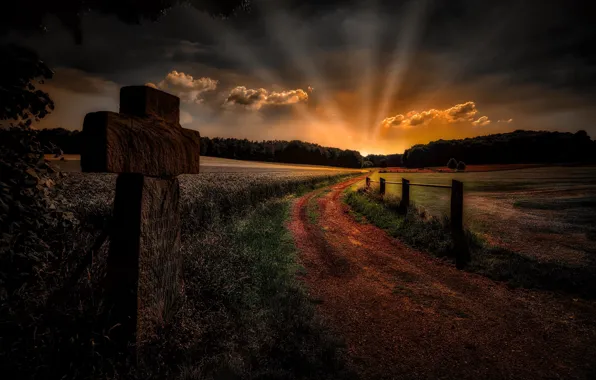 Road, sunset, nature