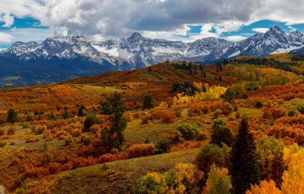 Autumn, forest, mountains, slope, snowy peaks