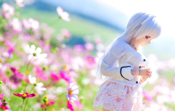 Picture summer, flowers, mood, doll, kosmeya