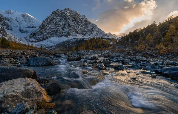 Picture autumn, mountains, river, stones, Russia, Altay, The Altai mountains, The River Acture