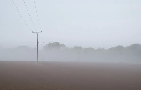Field, fog, power lines