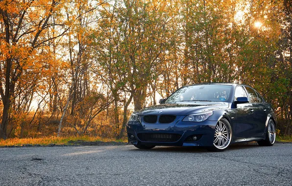 Picture bmw, BMW, cars, cars, auto wallpapers, car Wallpaper, auto photo, 5series