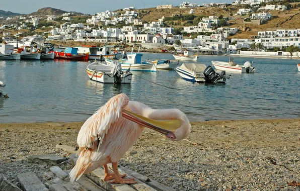 The city, river, photo, home, boats, Greece, Pelican, Mykonos
